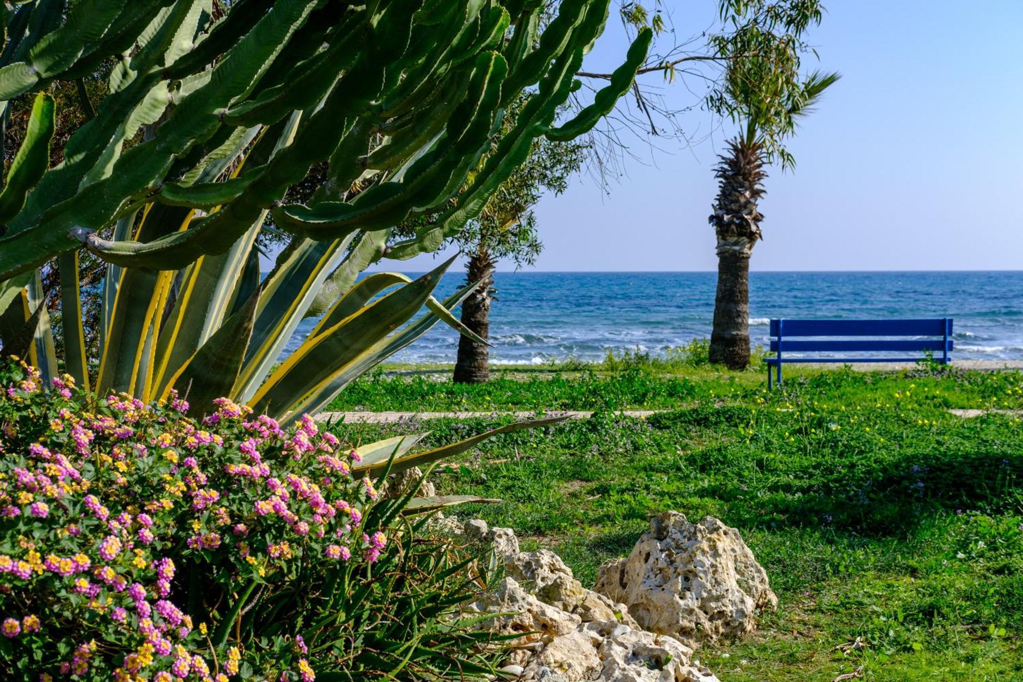 Demetris Apartment Meneou المظهر الخارجي الصورة