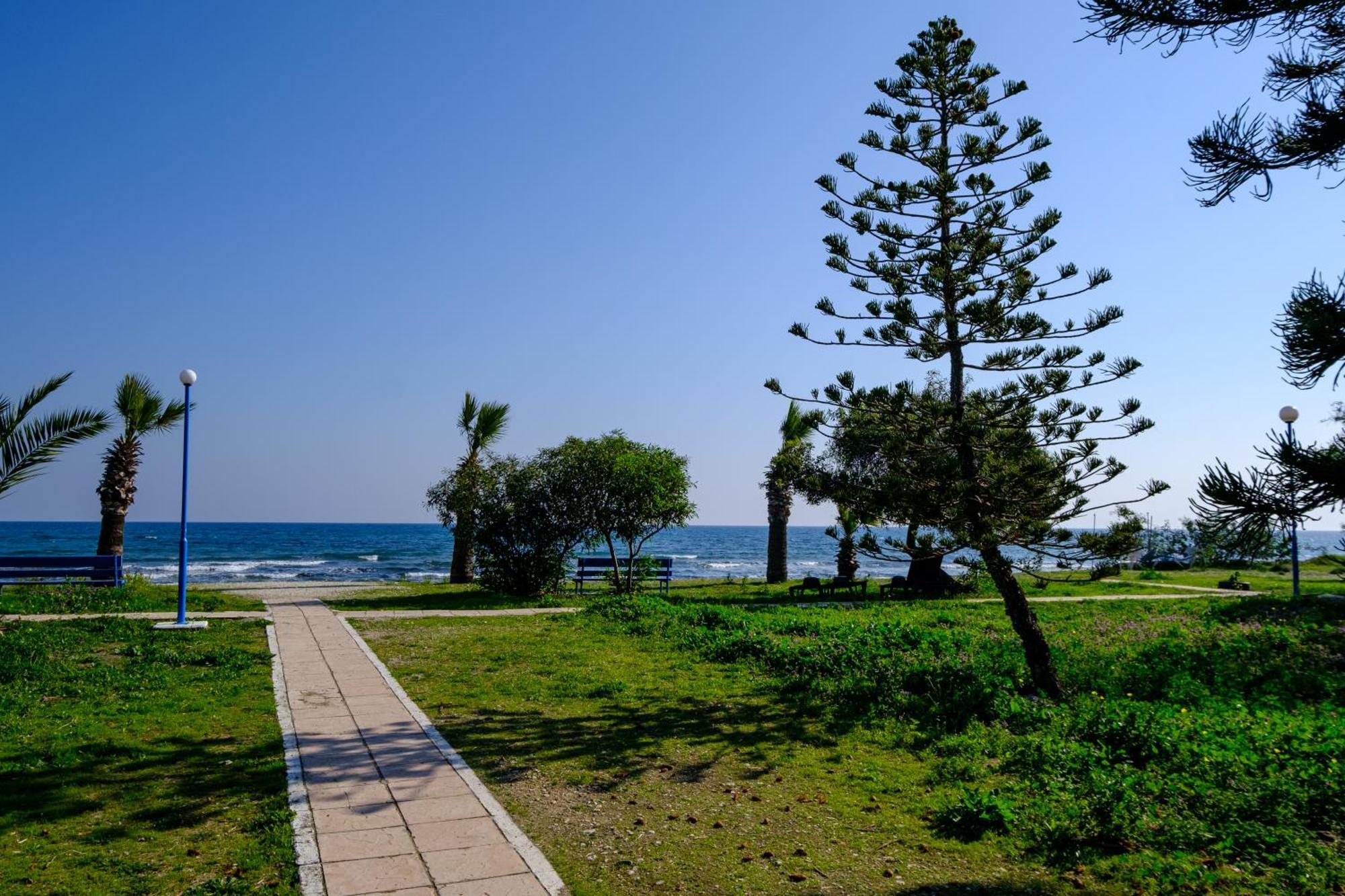 Demetris Apartment Meneou المظهر الخارجي الصورة